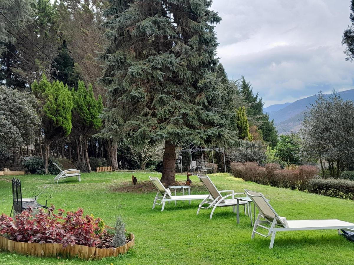 Affittacamere Urrezko Ametsa Sopuerta Esterno foto