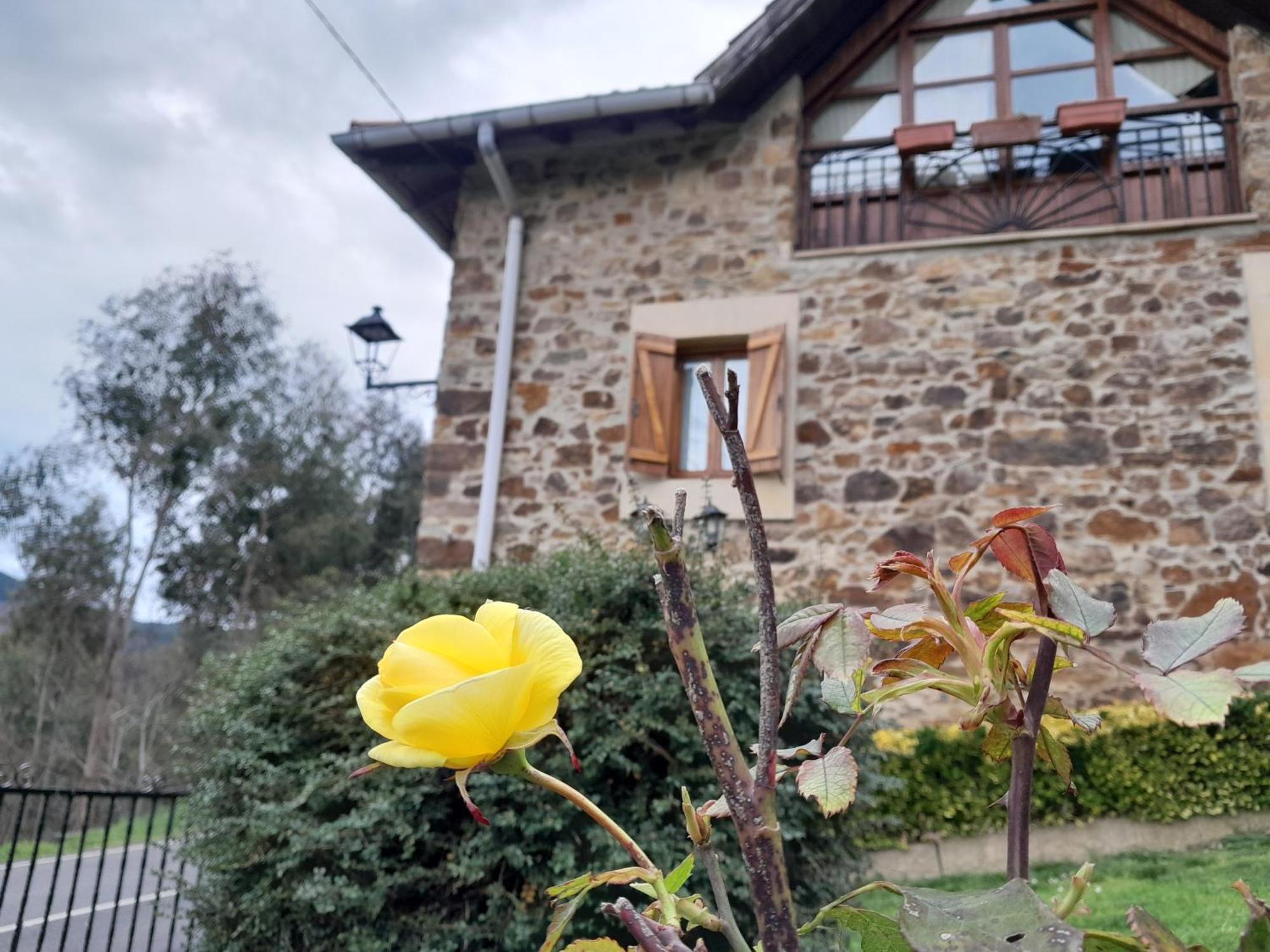 Affittacamere Urrezko Ametsa Sopuerta Esterno foto